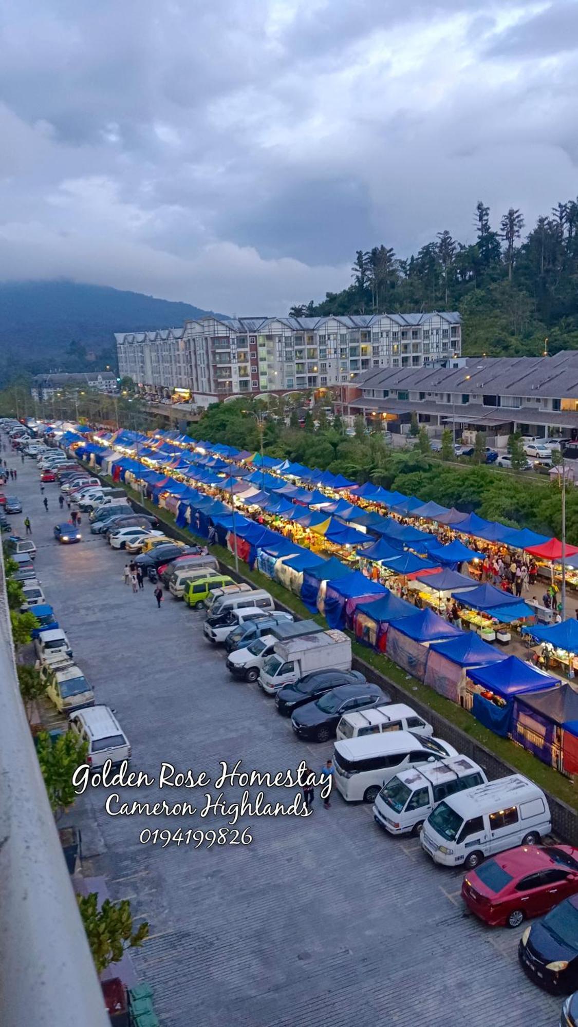 Golden Rose Homestay Cameron Highlands Brinchang Exteriér fotografie